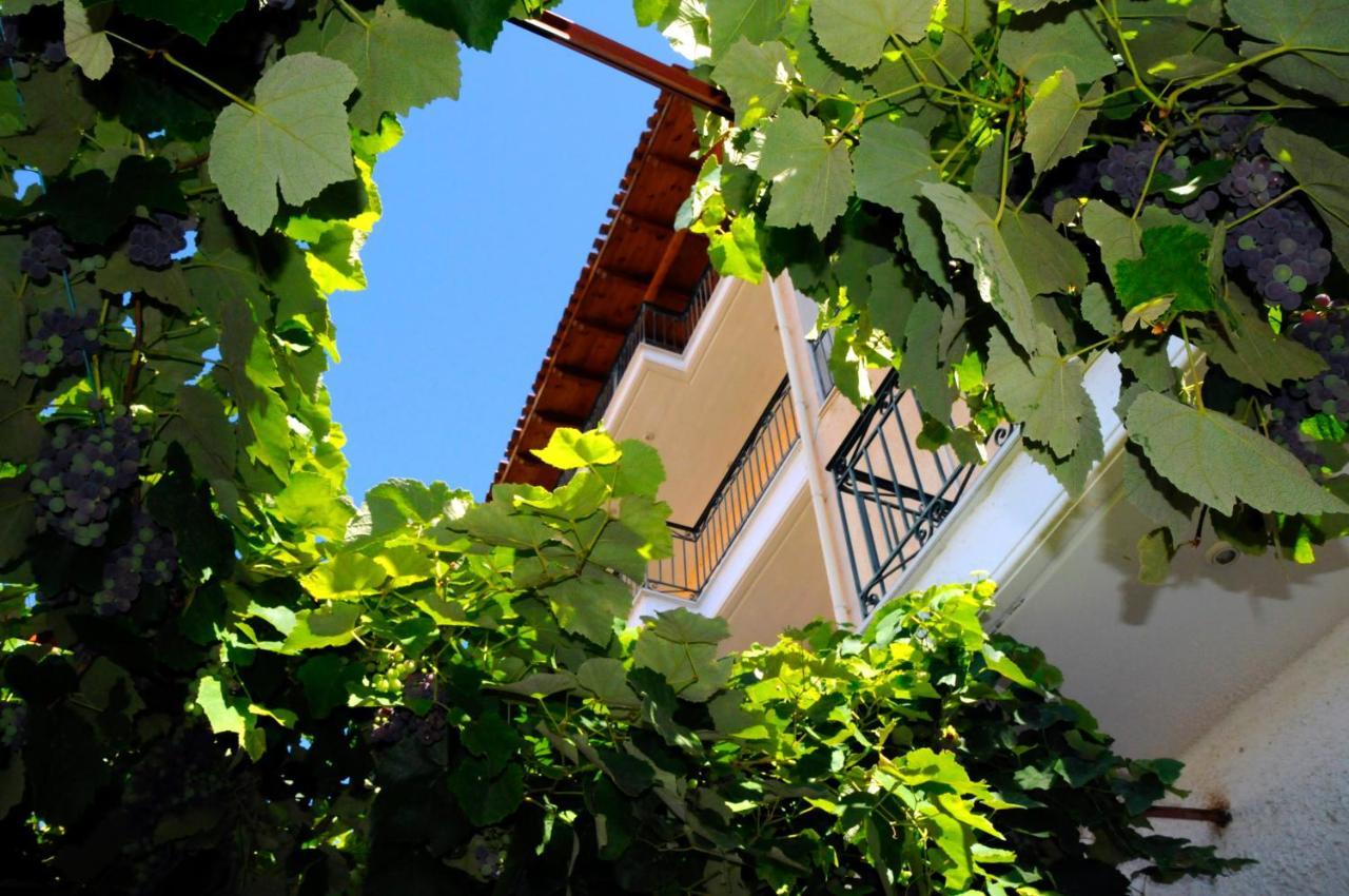 Boutique Hotel Parnassia Arachova Exteriér fotografie